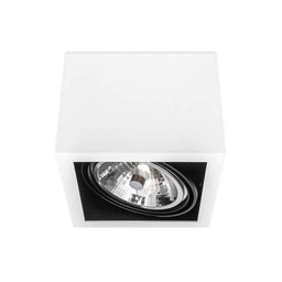 BASICSTERN SURFACE 1xG53, oprawa natynkowa, kolor biało-czarny
