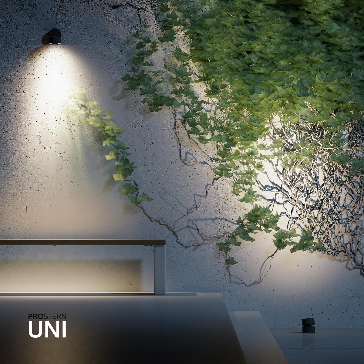 UNI LED, projektor zewnętrzny, grafitowy